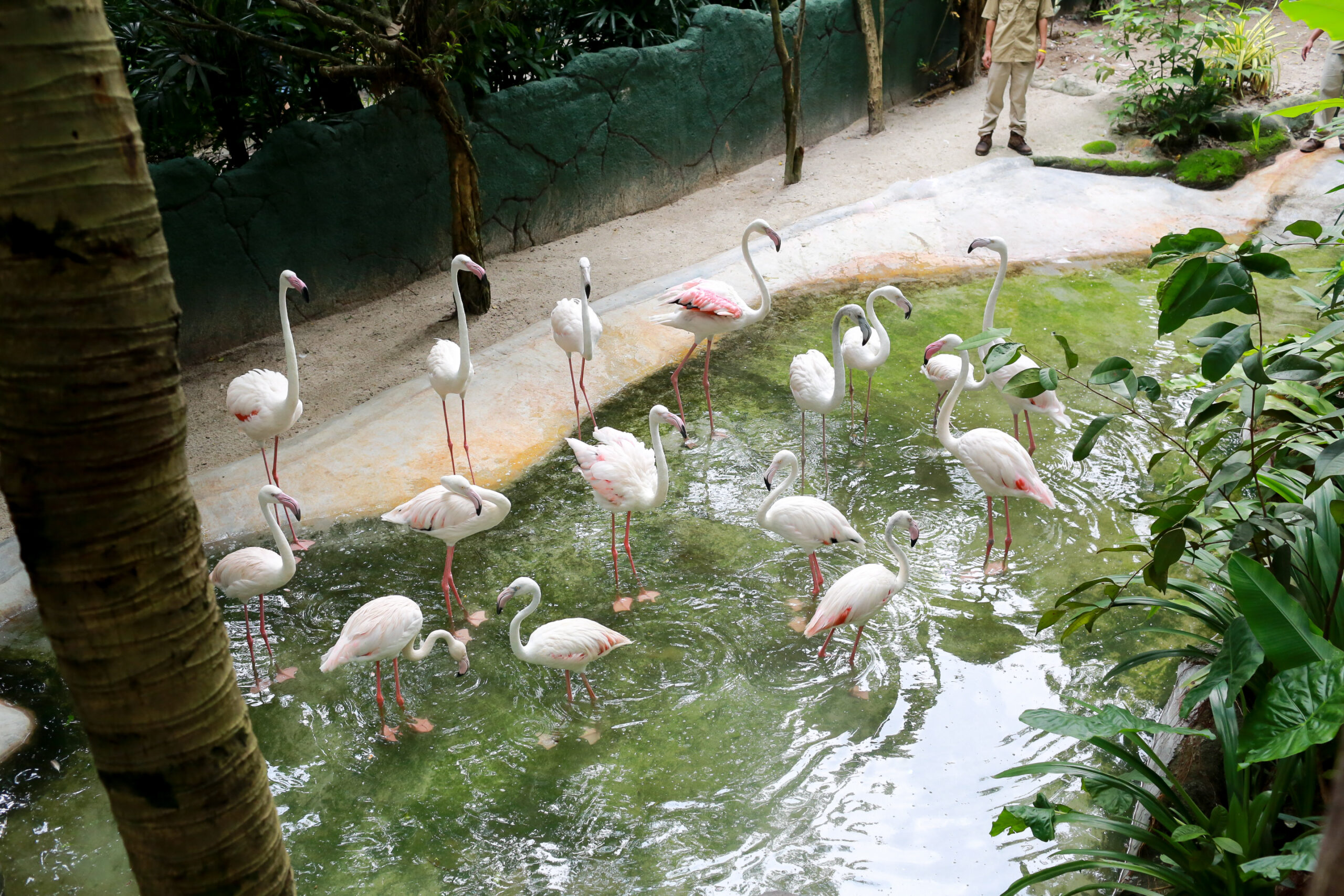 Wildlife Park (3)