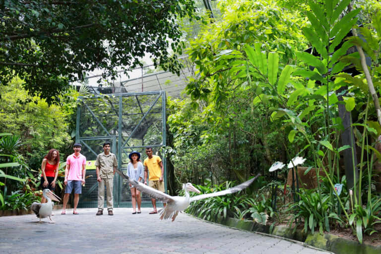 Wildlife Park