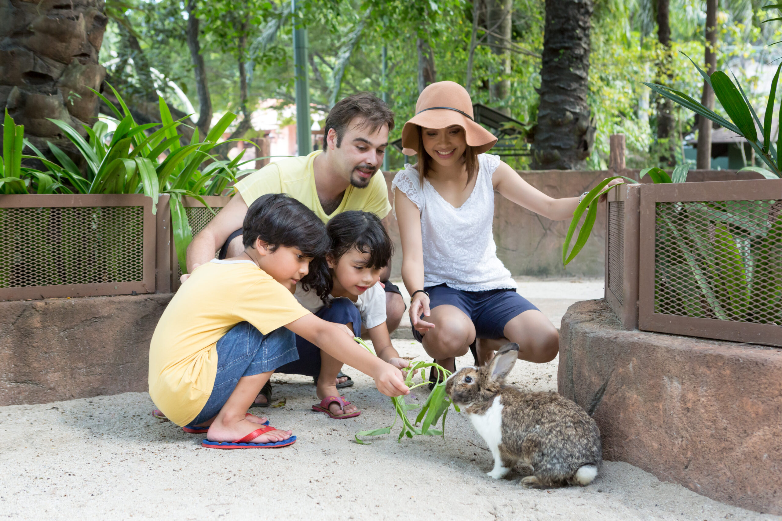 Wildlife Park - Pet Village (2)