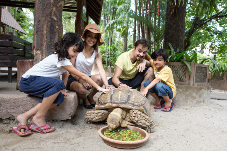 Wildlife Park - Pet Village