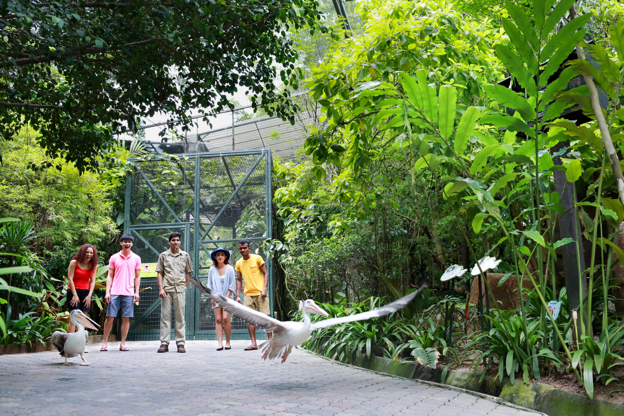 Wildlife Park